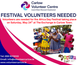 Africa Day 2025 Volunteers